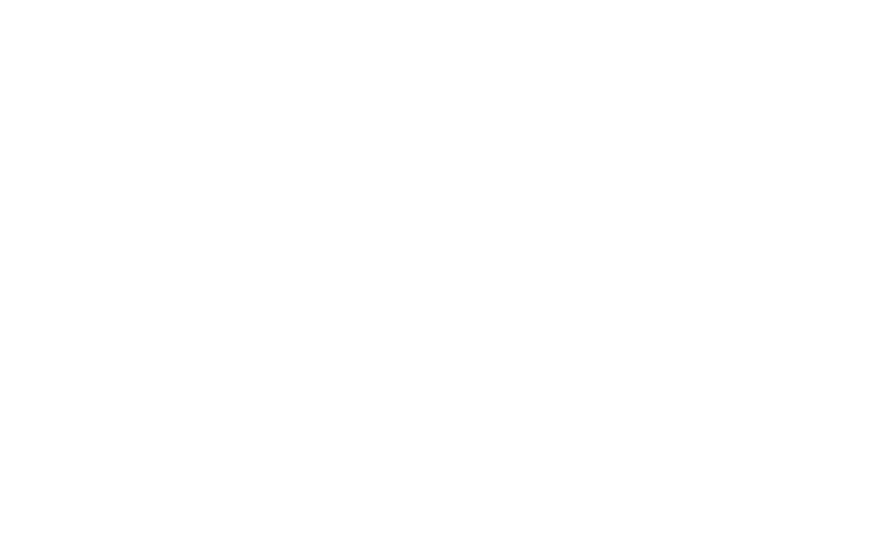 Virginia is for Lovers Logo